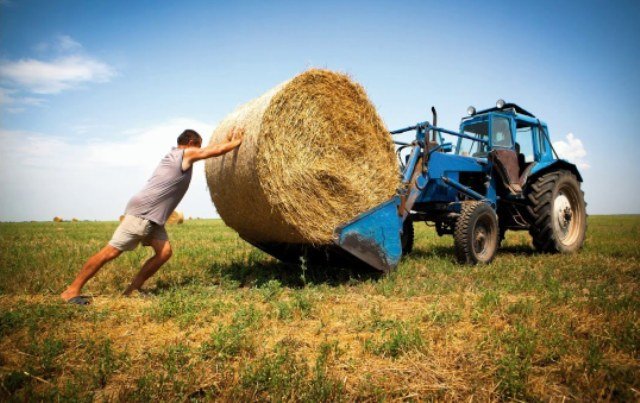 Украинскую землю запретят продавать иностранцам