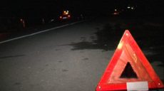 Под Харьковом насмерть сбили пешехода