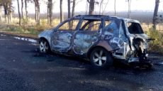 На Харьковщине во время движения загорелся автомобиль (фото)