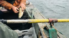 На водоемах Харковщины проверяют рыбаков-промышленников (фото)