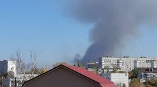 Под Харьковом горит сухостой (фото)