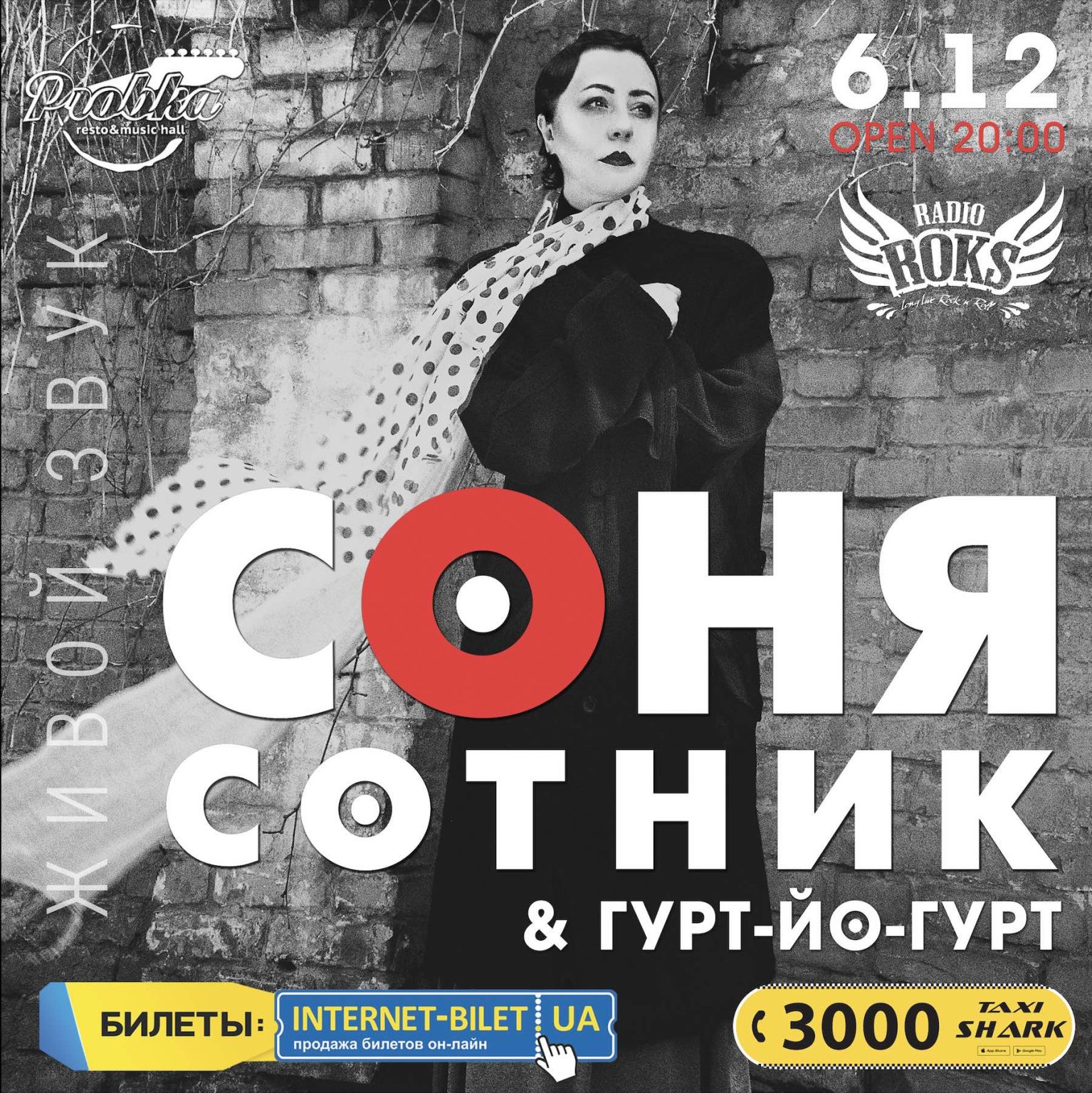 6.12 — Концерт Сони Сотник