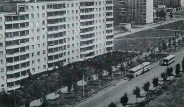 В Харькове появился новый живодер: кто-то калечит птиц