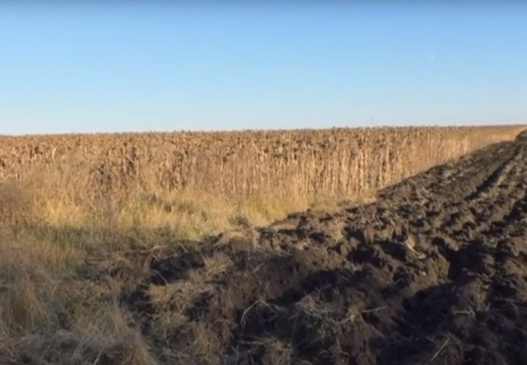 На Харківщині фермери не можуть поділити врожай (відео)