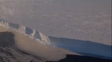Необычный вокал записали в Антарктике (видео)