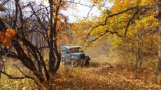 Синоптики обещают на следующую неделю теплую ясную погоду