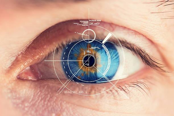 Американские ученые вырастили сетчатку человеческого глаза