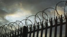 Полиция нашла водителя, который бросил сбитого пешехода умирать на дороге
