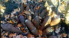 В лесу под Волчанском был найден взрывоопасный «букет»