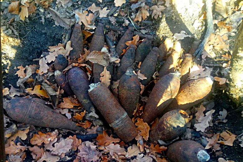 В лесу под Волчанском был найден взрывоопасный «букет»
