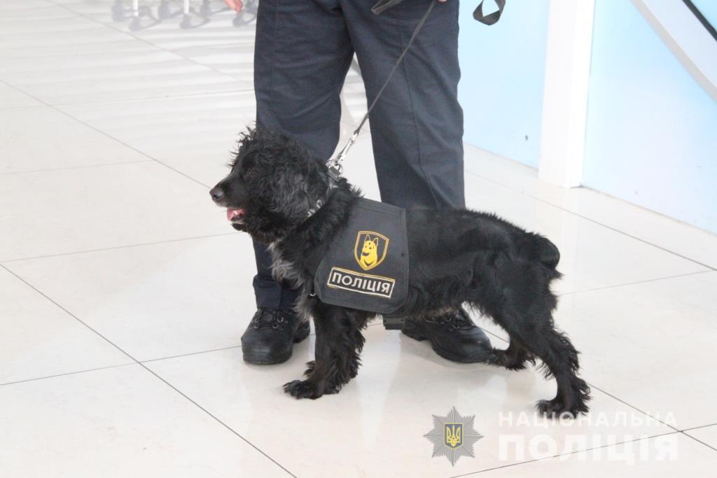 Харьковский аэропорт патрулируют с собаками (фото)