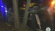 В Харькове пьяный водитель врезался в дерево, перевернулся и не пострадал (фото)