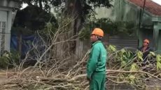 Тропический шторм во Вьетнаме: эвакуировали 500 тысяч человек (видео)