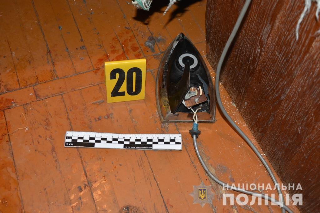 В Харькове племянник убил дядю утюгом
