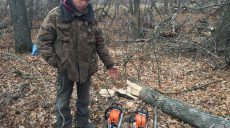 В Первомайском районе граждане незаконно валили лес