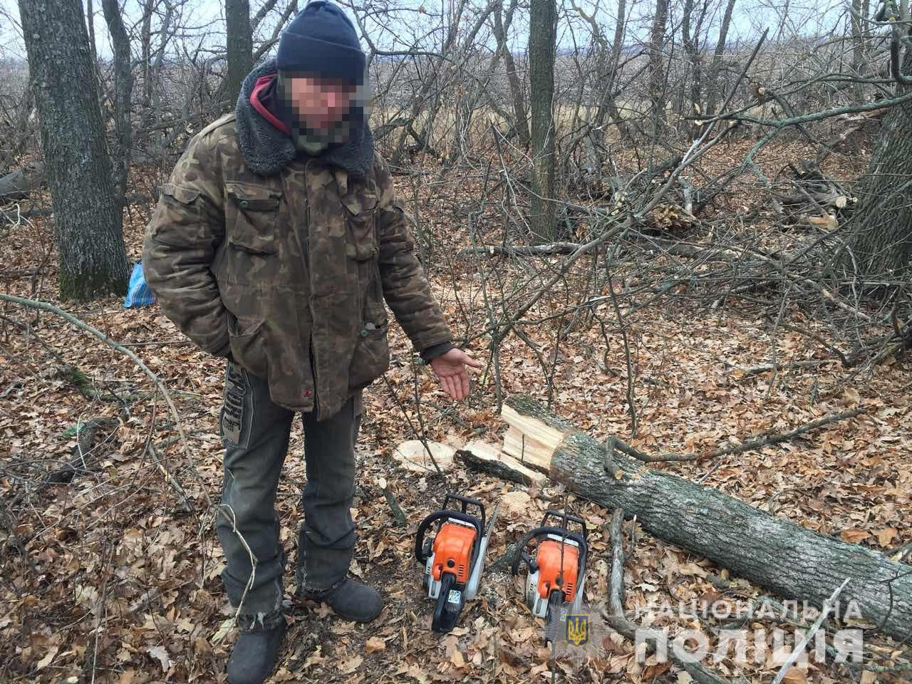 В Первомайском районе граждане незаконно валили лес