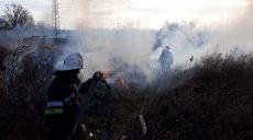 В Харькове горел гектар сухостоя (фото)