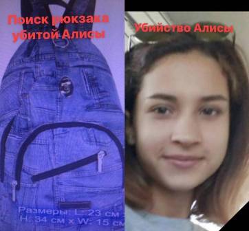Активисты продолжают поиски улик, которые помогут найти убийцу Алисы Онищук (видео)