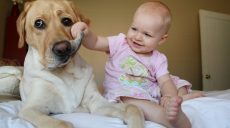 Маленьким детям полезно играть с домашними животными