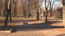 У Харкові посеред вулиці стріляли у чоловіка (відео)