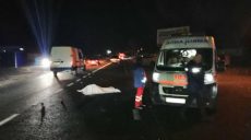 Элитная иномарка задавила двух человек в Солоницевке (фото)