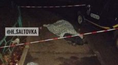 На Салтовке нашли труп мужчины