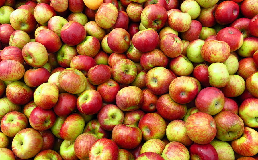 У Харкові подешевшали яблука (відео)