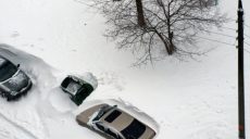 Жителей Харькова просят не парковать машины на улицах