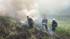 В Изюме на месте горения сухостоя найдено тело мужчины