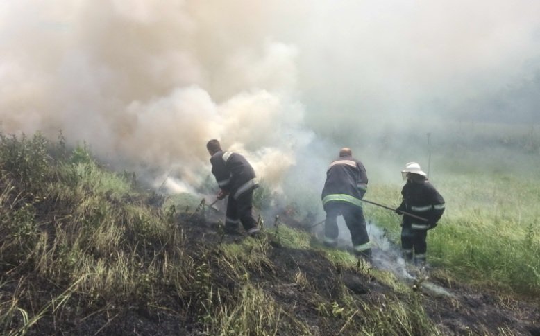 В Изюме на месте горения сухостоя найдено тело мужчины