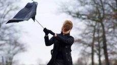 Спасатели предупреждают о сильных порывах ветра в Украине