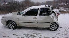 Под Харьковом из-за непогоды столкнулись грузовик и легковое авто (фото)