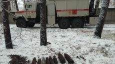 Спасатели ликвидировали 32 боеприпаса (фото)