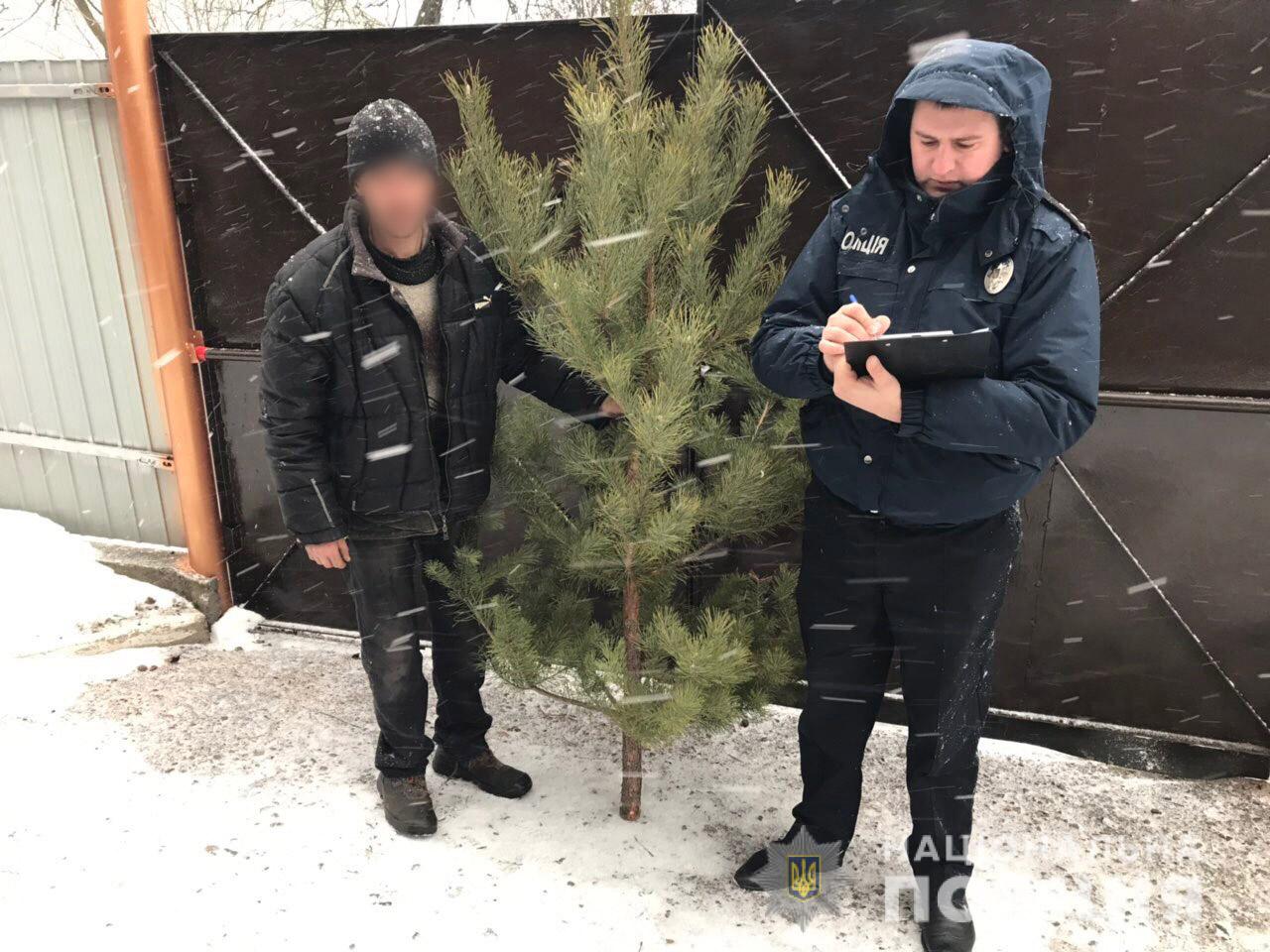 Продажа елок на Харьковщине: полицейские проверяют торговые точки