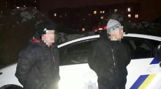 Патрульные задержали предполагаемых воров аккумуляторов