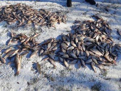 Харьковский рыбоохранный патруль подвел итоги рейдов за ноябрь