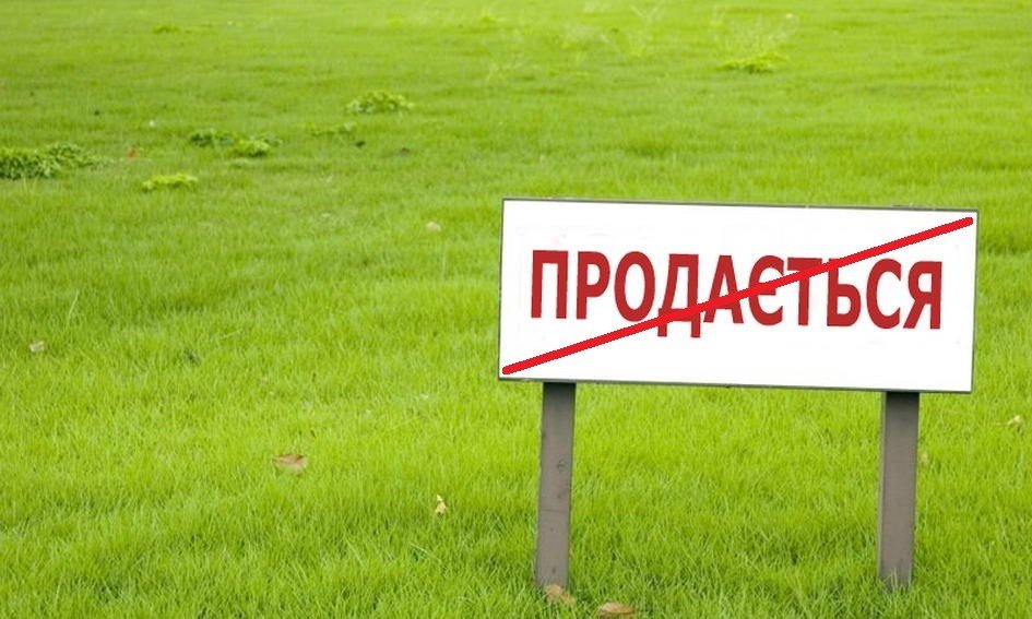 Александр Давтян: Надо дать возможность людям распоряжаться своей землей