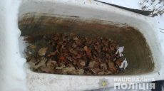 Под Харьковом задержали дачных воров
