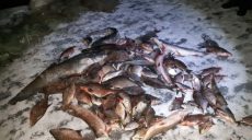 На Харьковщине гражданин наловил 85 кг рыбы (фото)