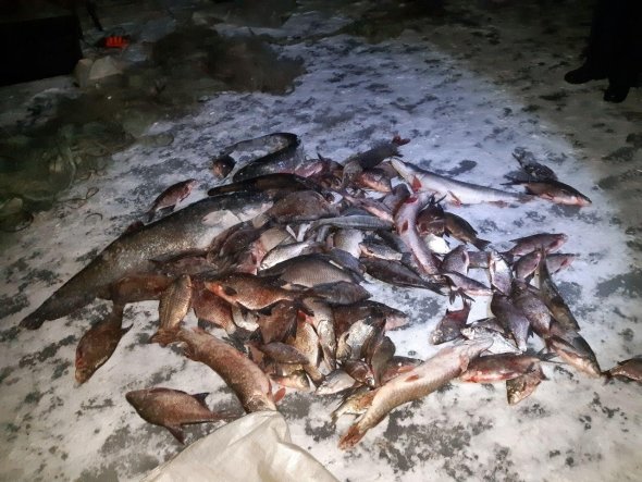 На Харьковщине гражданин наловил 85 кг рыбы (фото)