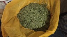Пограничная собака вынюхала килограмм марихуаны на станции «Харьков-Пассажирский»