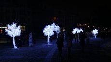 В центре Харькова появились необычные деревья (фоторепортаж)