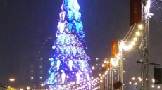 На площади Свободы открыли главную елку Харькова (фоторепортаж)