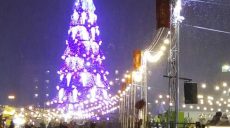 У Харкові урочисто запалили найвищу ялинку в Україні (відео)