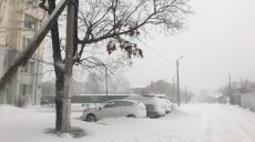 Снегопад на Харьковщине: некоторые районы остались без света (обновлено)