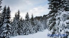 Украинский курорт замело снегом