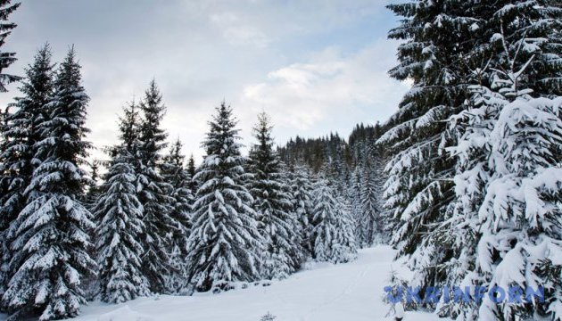 Украинский курорт замело снегом