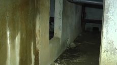 20 років прориває трубу у підвалі: харків’яни б’ють на сполох (відео)