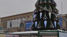 На площади Свободы собрали зверей (фото)