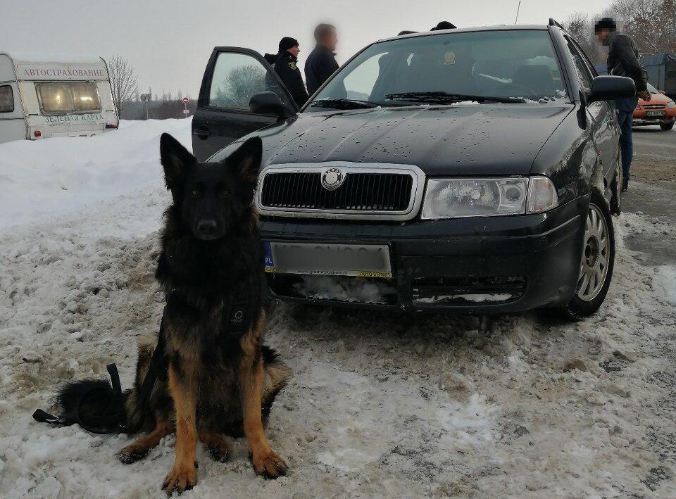 Полицейский пес обнаружил наркотики в автомобиле (фото)